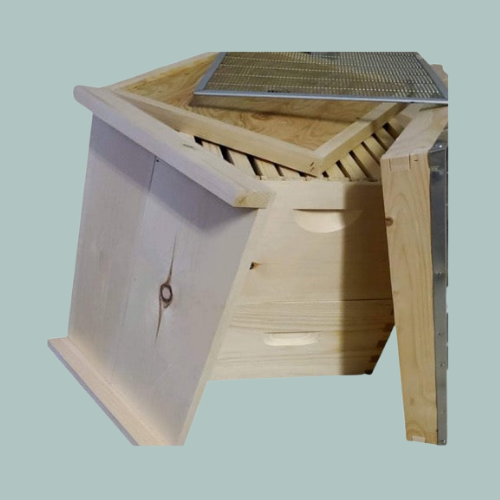 What are the three types of hives?