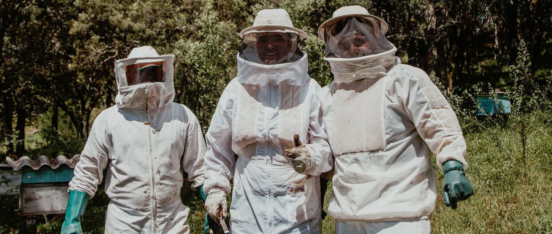 Beekeeping Supplies Chatham