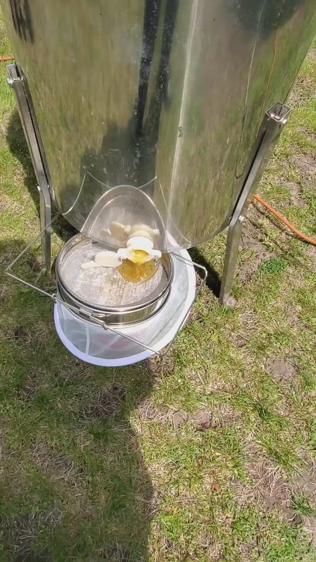 Honey coming out of Extractor
