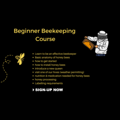 Beginner Beekeeper Course