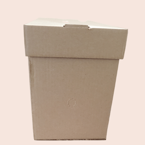 4 Frame Cardboard Nuc Box 