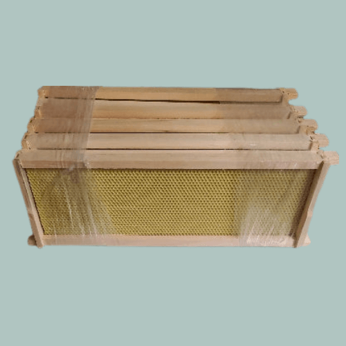 Bundle of 20 Medium Frames with Ritecell Foundation | OPH Beekeeping Supplies
